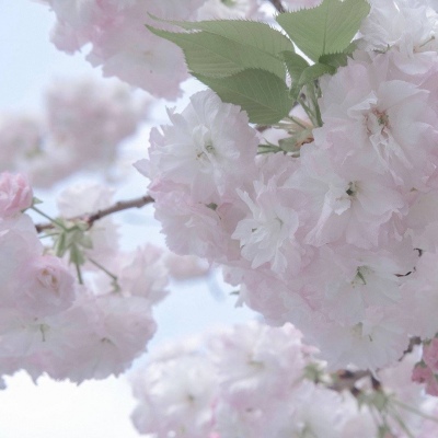 乡城FurryQQ群介绍